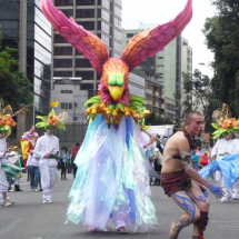 CANTO DE AGUILAS DANZA DE OSOS 14