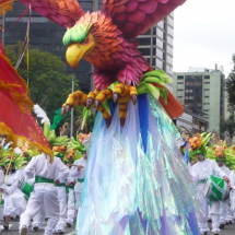 CANTO DE AGUILAS DANZA DE OSOS 15