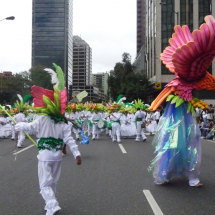 CANTO DE AGUILAS DANZA DE OSOS 16