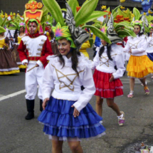 COMUNEROS DEL VICENTENARIO 1