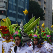 COMUNEROS DEL VICENTENARIO 14