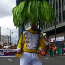 COMUNEROS DEL VICENTENARIO 28