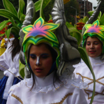 COMUNEROS DEL VICENTENARIO 33